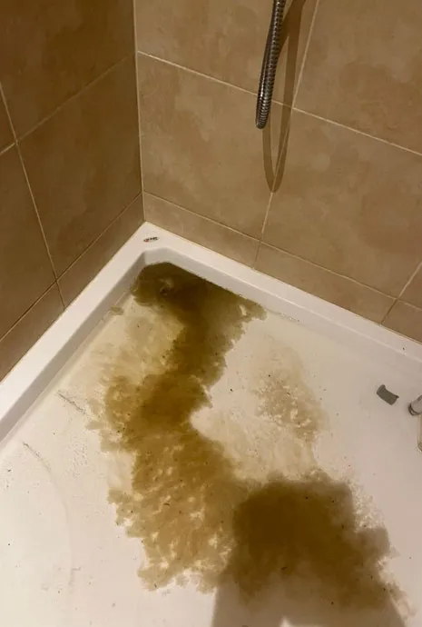 Profesionálne služby čistenia kanalizácií, odpadov, odtokov, žľabov, potrubí. Investíciou do pravidelnej údržby môžu majitelia nehnuteľností predísť neočakávaným núdzovým situáciám a zabezpečiť správne fungovanie svojich kanalizačných systémov. Vyčistíme upchatú toaletu alebo sprchu. Profesionálne služby čistenia kanalizácií, odpadov, odtokov, žľabov, potrubí. Investíciou do pravidelnej údržby môžu majitelia nehnuteľností predísť neočakávaným núdzovým situáciám a zabezpečiť správne fungovanie svojich kanalizačných systémov. Vyčistíme upchatú toaletu alebo sprchu.