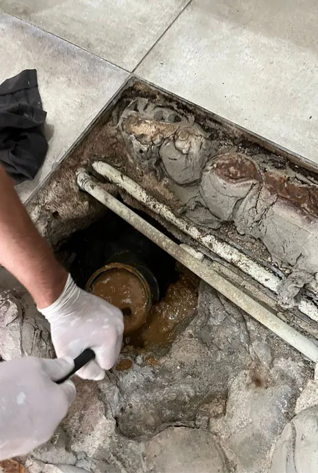 Profesionálne služby čistenia kanalizácií, odpadov, odtokov, žľabov, potrubí. Investíciou do pravidelnej údržby môžu majitelia nehnuteľností predísť neočakávaným núdzovým situáciám a zabezpečiť správne fungovanie svojich kanalizačných systémov. Vyčistíme upchatú toaletu alebo sprchu. Profesionálne služby čistenia kanalizácií, odpadov, odtokov, žľabov, potrubí. Investíciou do pravidelnej údržby môžu majitelia nehnuteľností predísť neočakávaným núdzovým situáciám a zabezpečiť správne fungovanie svojich kanalizačných systémov. Vyčistíme upchatú toaletu alebo sprchu.